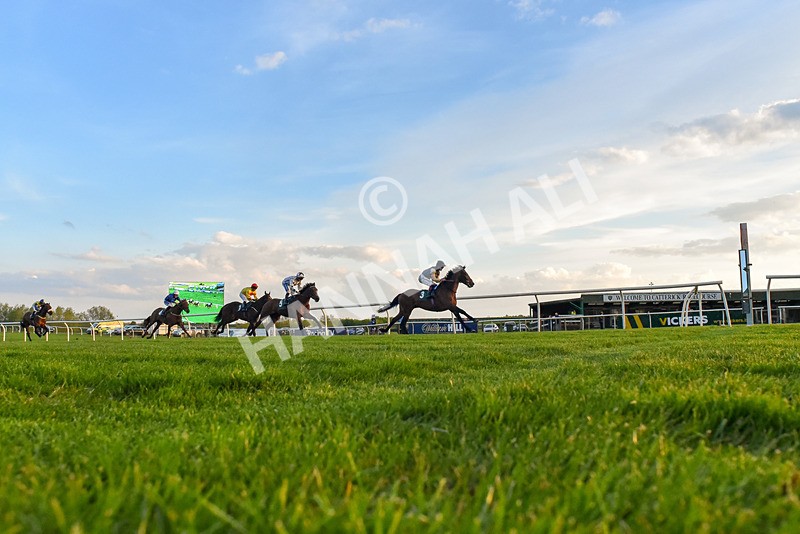 300424-Race 6-Kodi Lion-4250 - Race 6