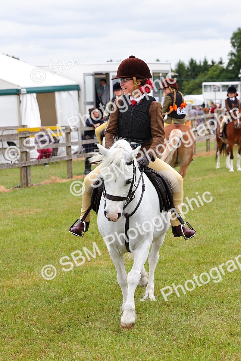 SBM_08823 - Class 42-43 - LIHS BSPS Heritage Working Sports Pony