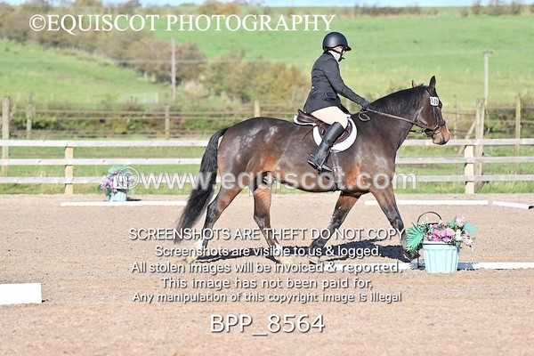 BPP_8564 - SHORT ARENA