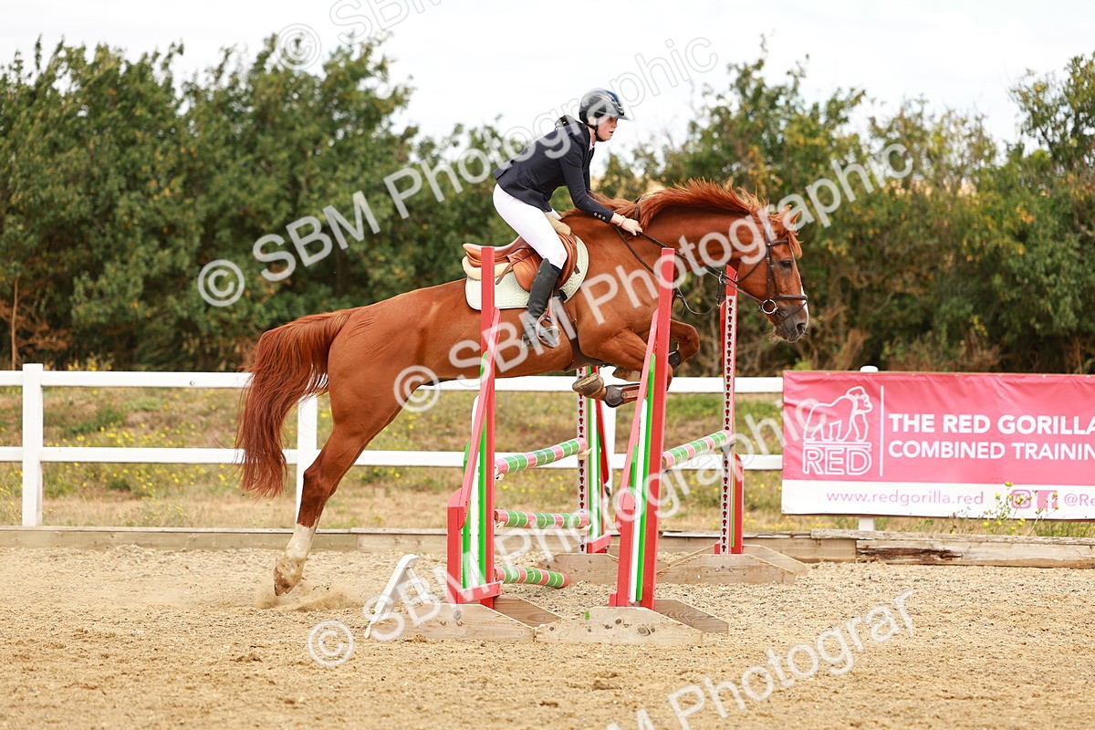 SBM_005619 - Class 2 - Senior British Novice - 90cm