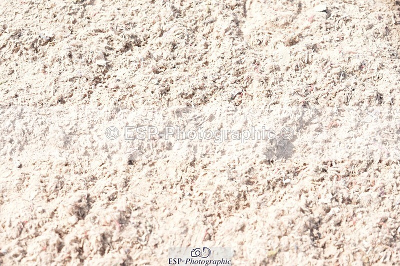 250815-154132-02070 - 3.30pm Presentations