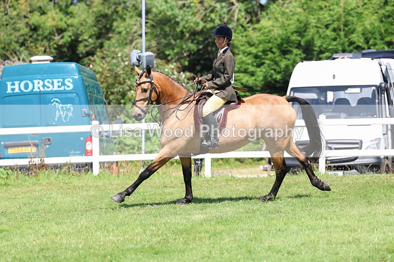 3E7A8977 - Class 6: Open Working Horse