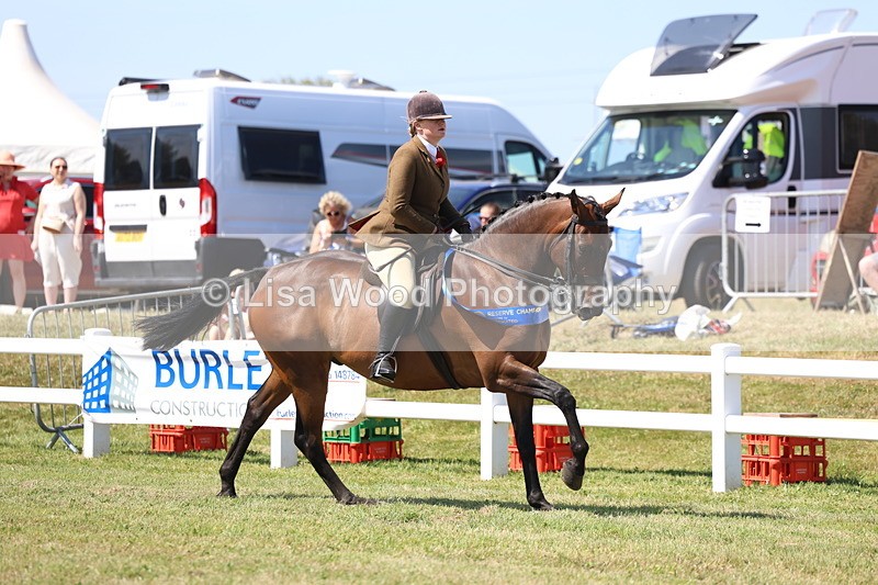 3E7A7651 - Rising Star Ridden Championship