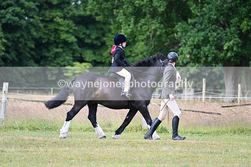 WJ7_4376 - Class 1 Lead Rein Pony