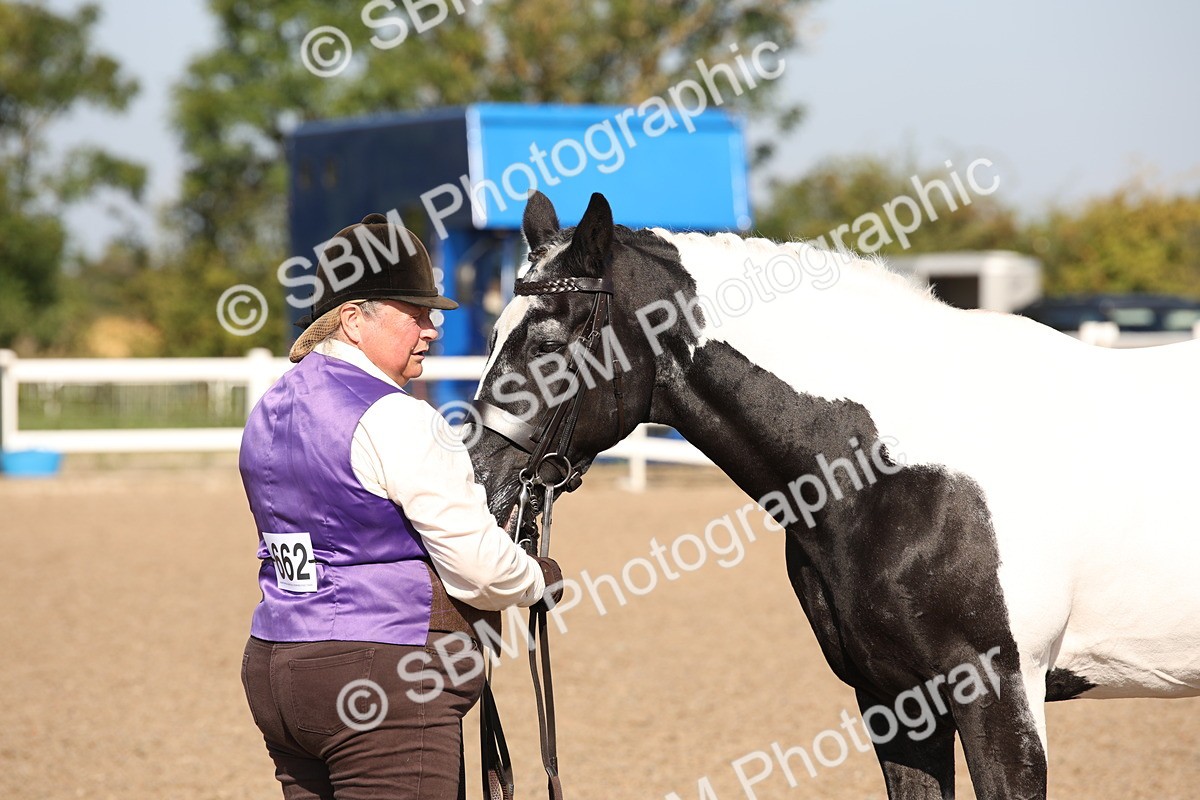 SBM_01500 - Class 15 IH Coloured