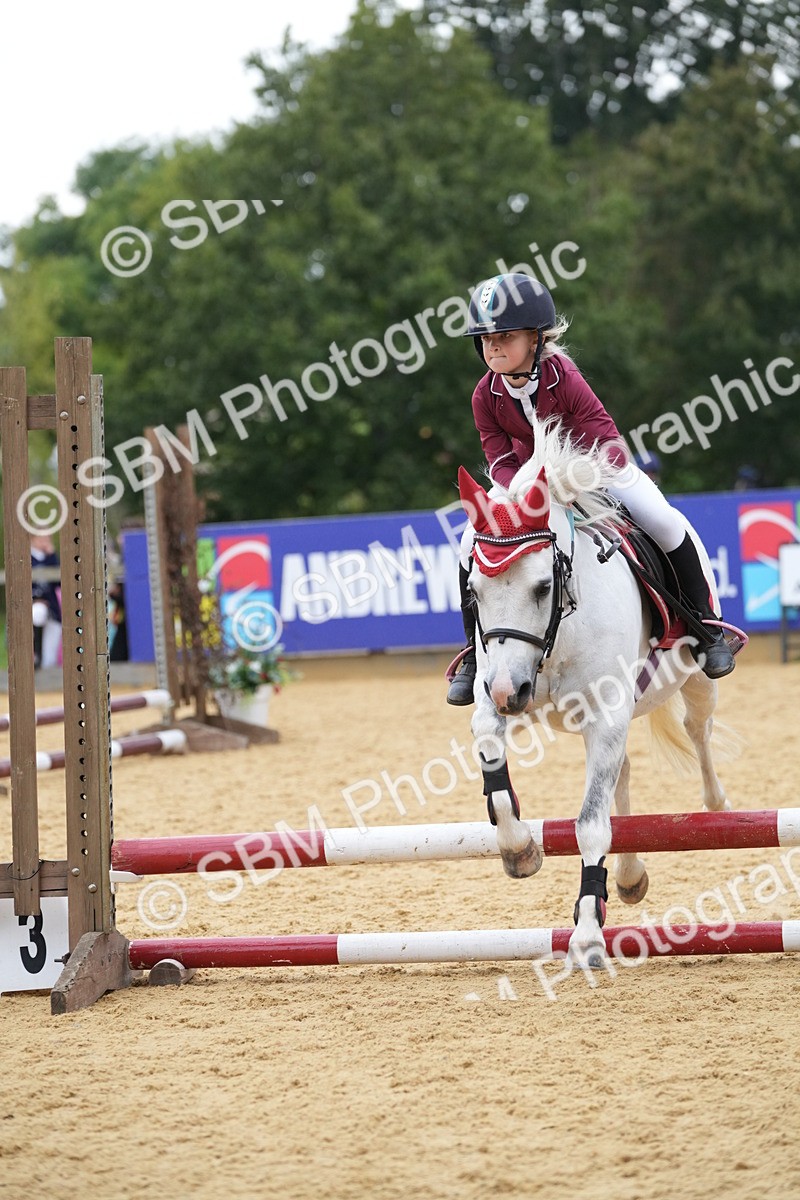 SBM_74607 - J4 - Mini Tour Junior Pony 45cm Championship