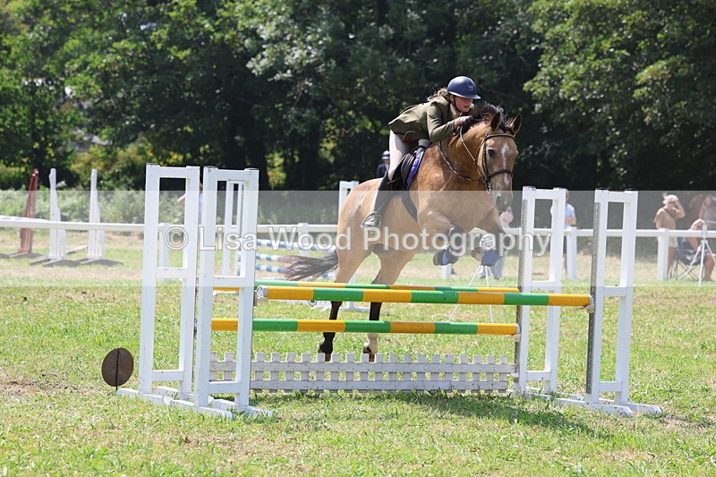 3E7A2995 - Class 7: Senior British Novice/90cm open