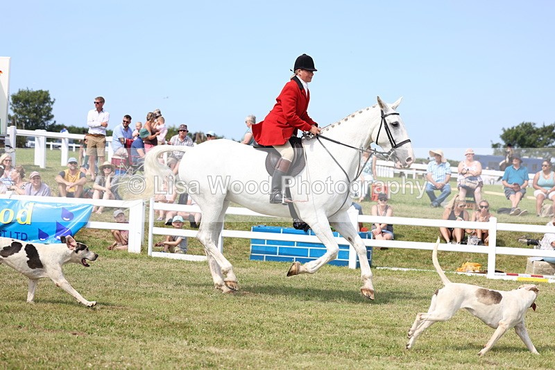 3E7A0181 - Parade of Hounds