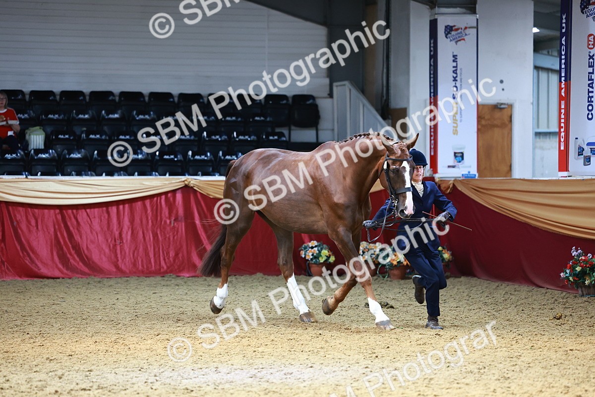 SBM_23127 - Class 903 - Supreme Final - IH Pre Vet