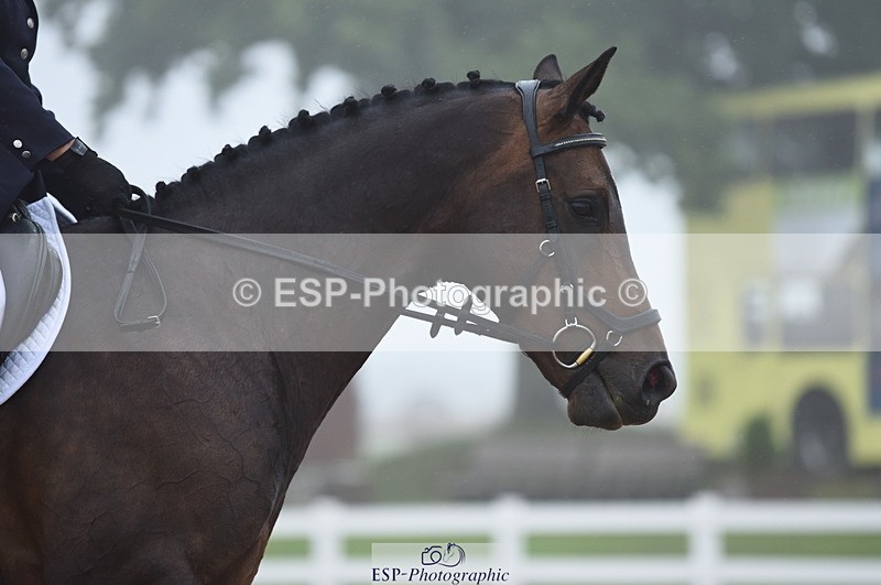 230708A-150138-03194 - Novice 24