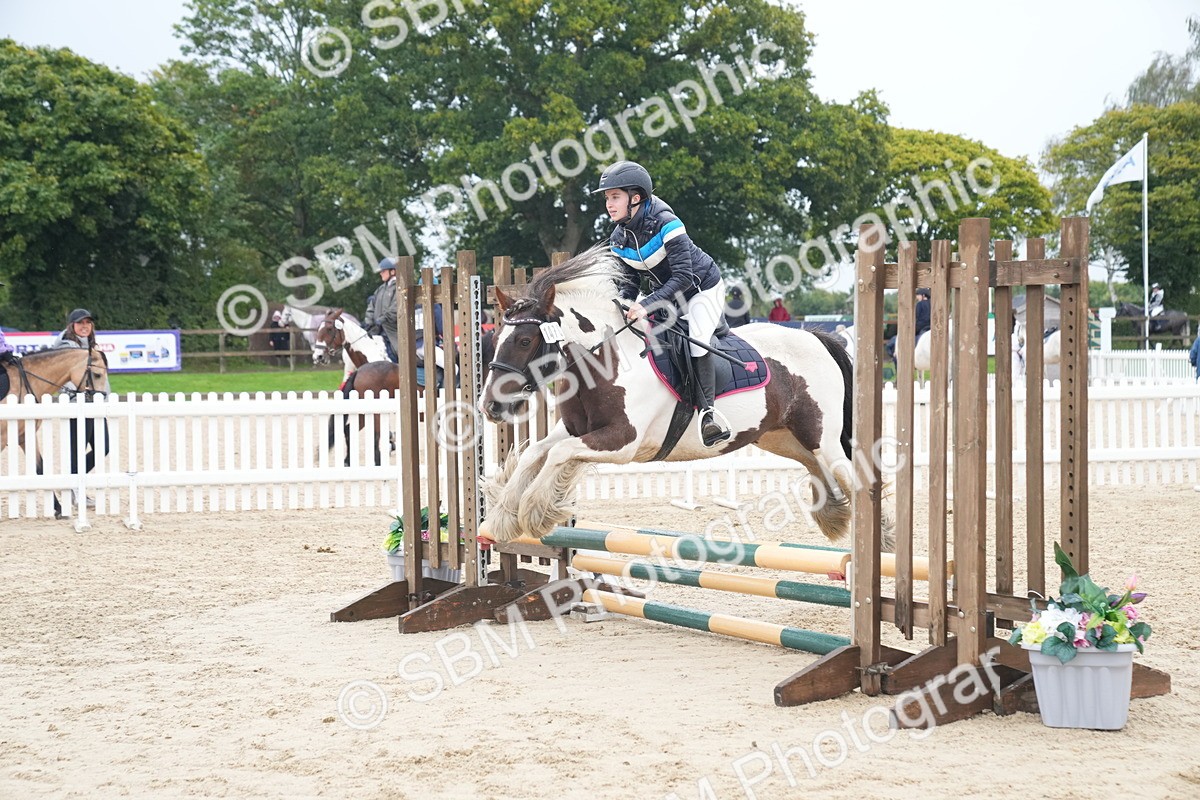 SBM_01798 - J54 - Clear Round 50cm