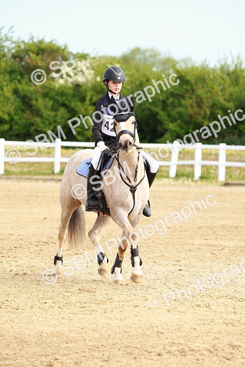 SBM_006508 - Class 1 - 40cm