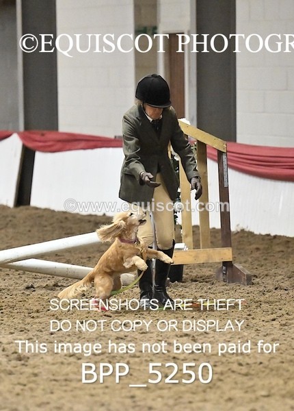 BPP_5250 - CLASS 5 HORSE AND HOUND