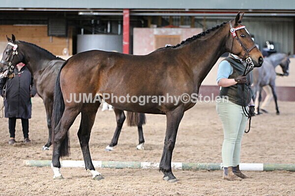 SIAL9766 - Indoor Classes