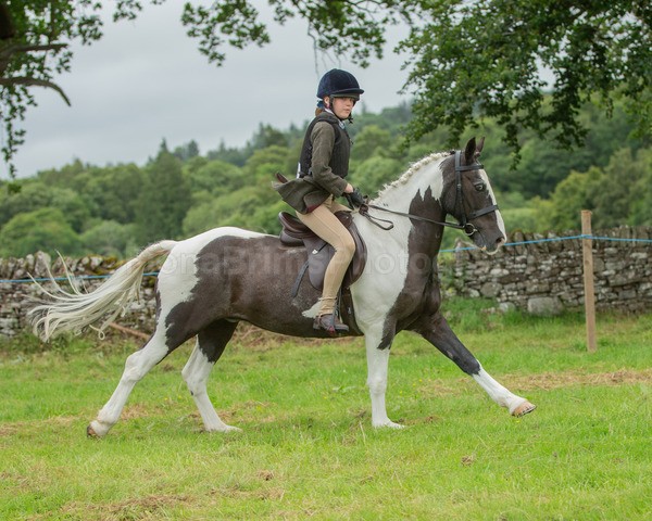 Dunblane show-135 - Dunblane and Doune Show Ring 1