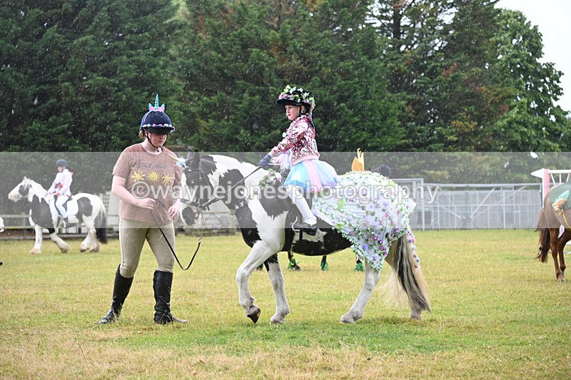 WJ6_9201 - Class 11 Fancy Dress