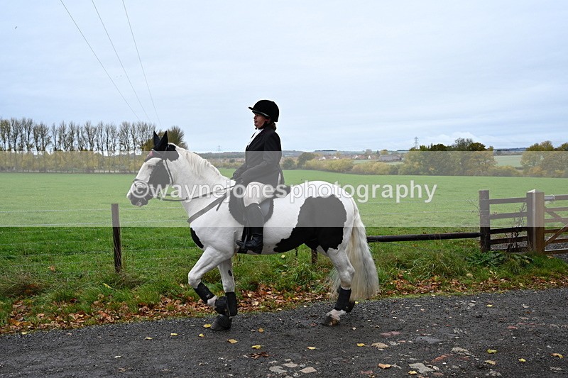 WJ6_9296 - Ride