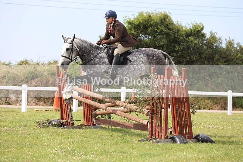 JPP_4005 - Class 24: Working Hunter 90cm