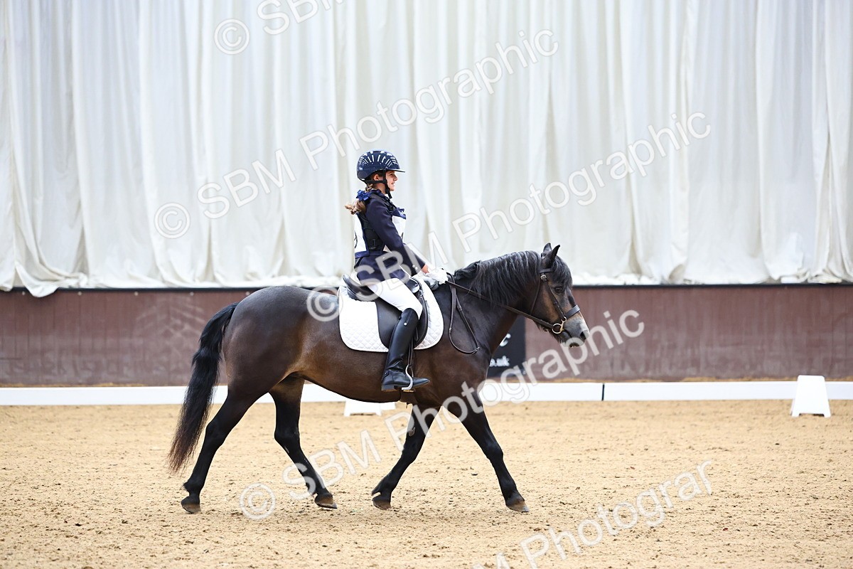 SBM_003390 - Intro 2