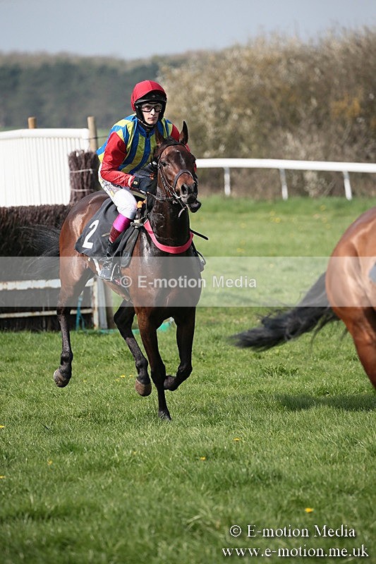 PtP 210418 429 - South & West Wilts Point-to-Point Larkhill 21/04/18