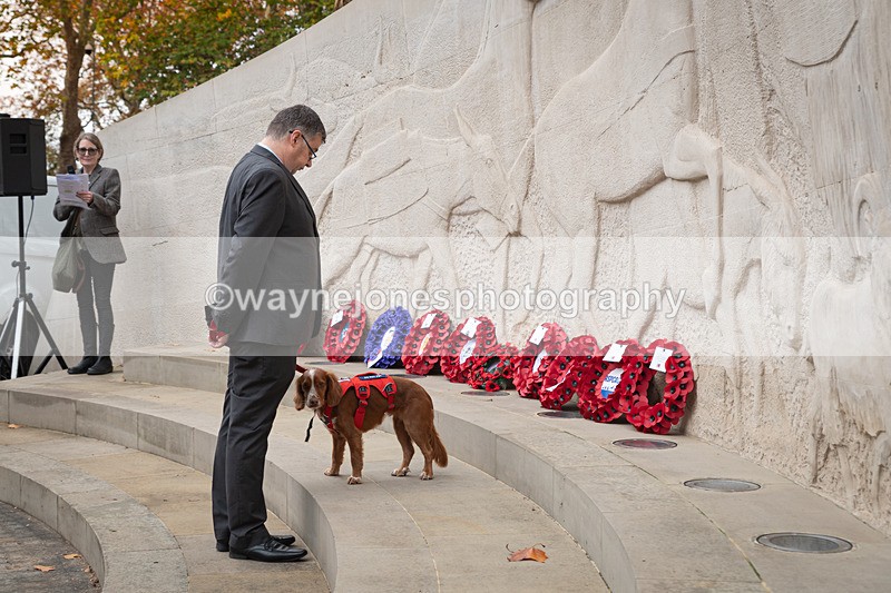 Z62_4619 - Animals In War Memorial 2025 - Park Lane, London