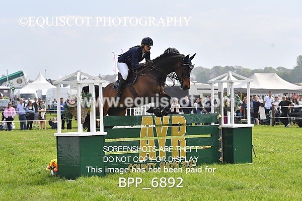 BPP_6892 - CLASS 3 RHS Fox Champ Qual (1.20m)