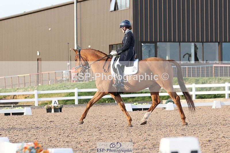 250404-183715-08299 - 135-Megan.Field-Bright.Time