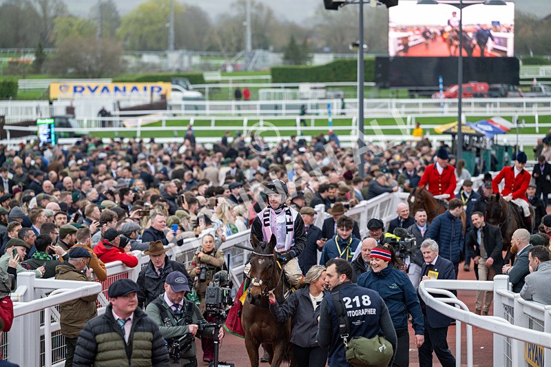 120326-Race 5-Heartwood-8394 - 12th March