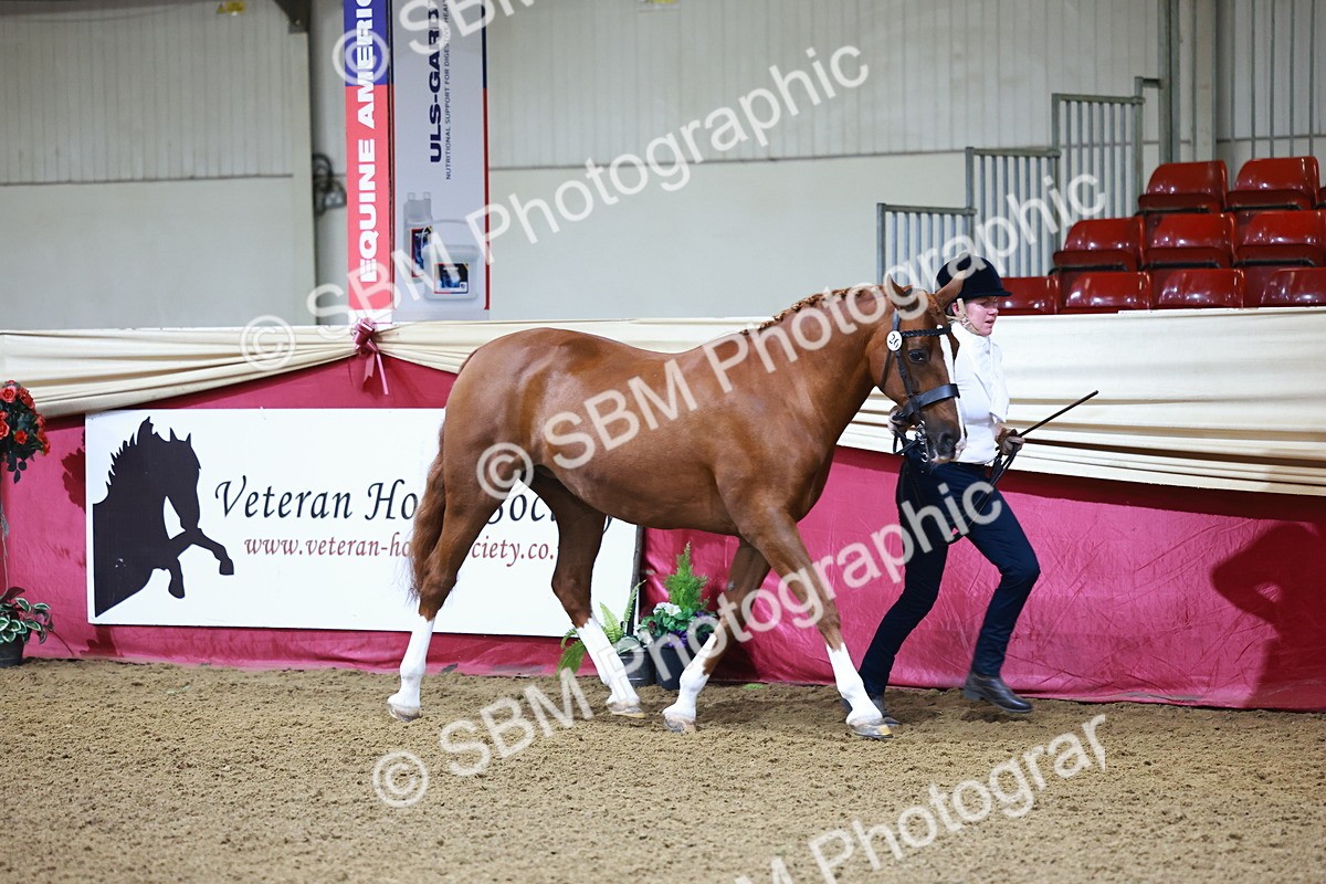 SBM_21663 - Class 901 - Supreme Final - IH  Diamond