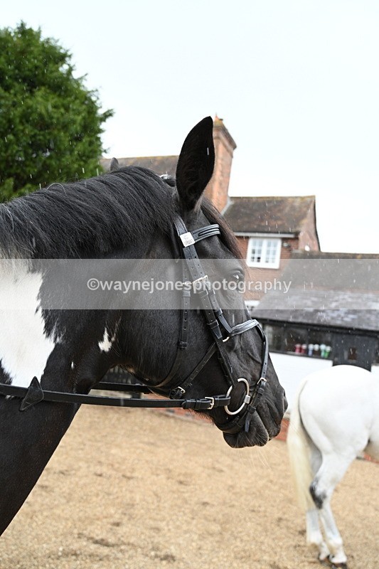 WJ7_6908 - Berks & Bucks at Blandy’s Farm 31-08-25