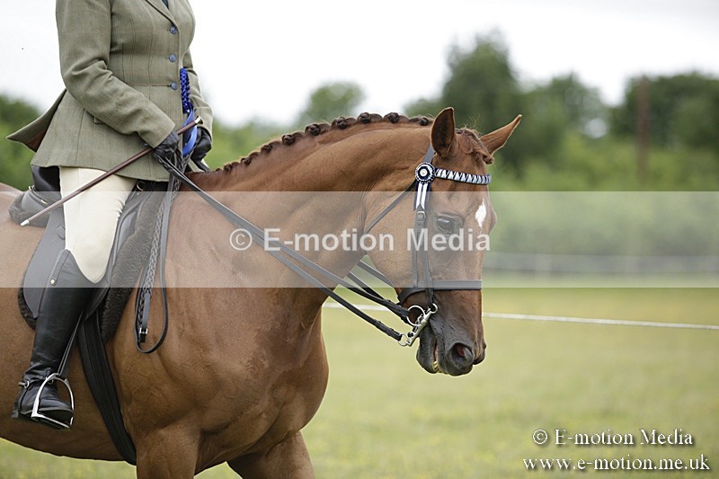 BVR160717-488 - Ring 1 BVRC Show 16/07/17