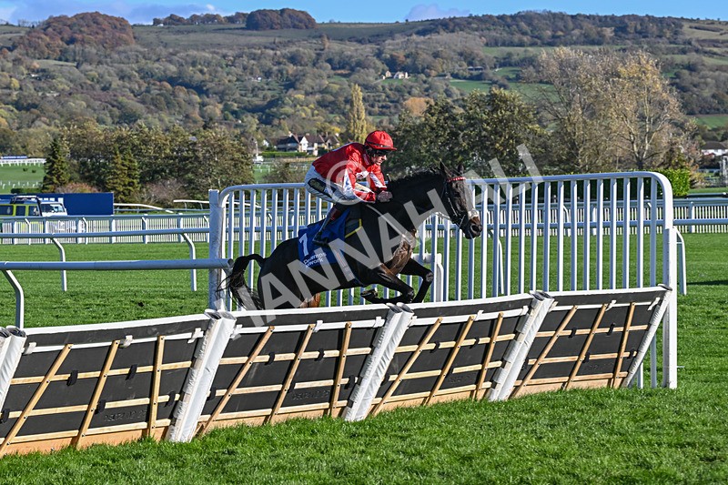 251025-Race 4-Gowel Road-9129 - Race 4