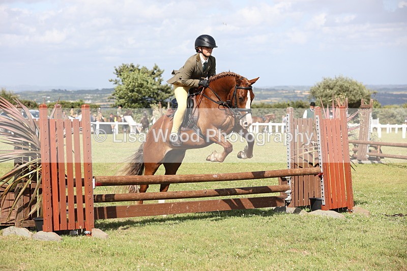 JPP_2746 - Class 20: Working Hunter 70cm