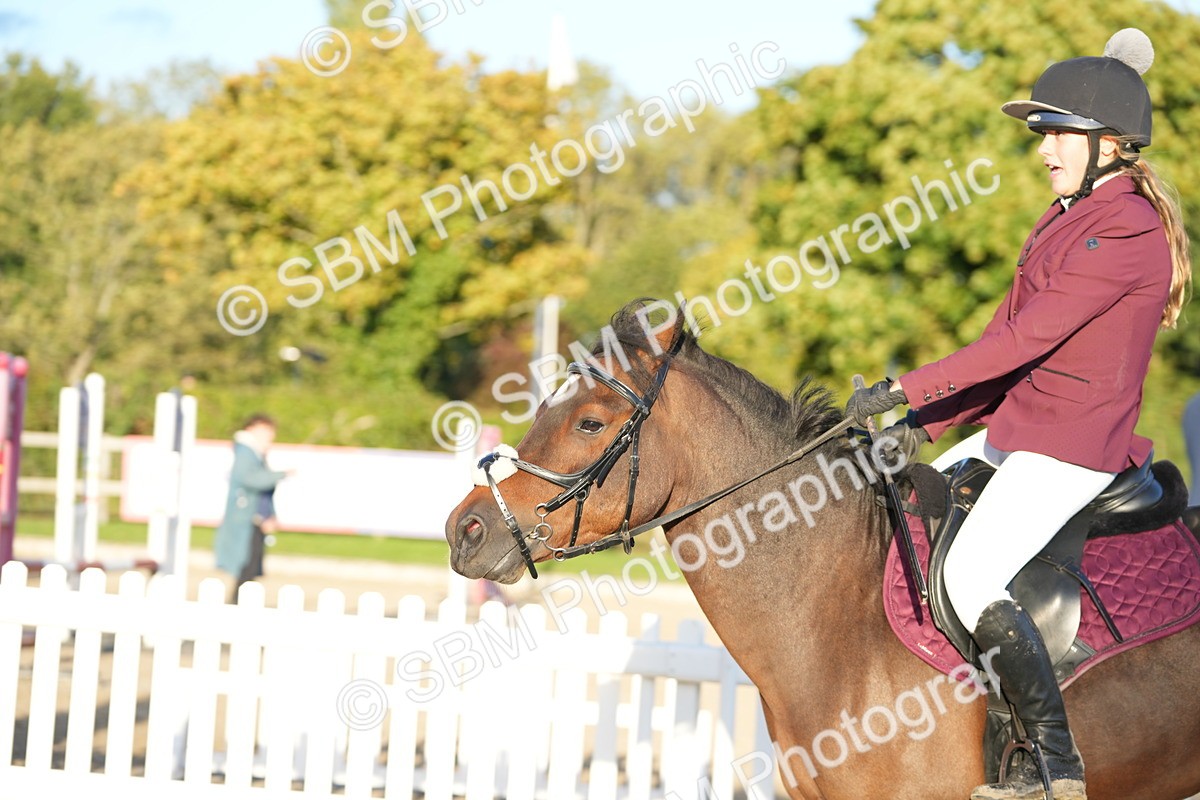 SBM_54151 - Supreme Championship 60cm 65cm