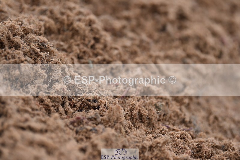 231203A-093620-00013 - Cls 1 Intro 70cm