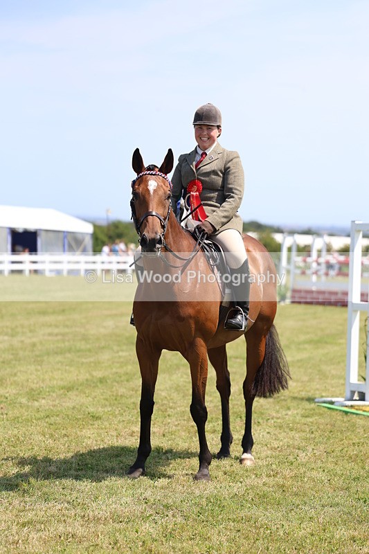 3E7A9424 - Class 12: Open Racehorse to Show Horse