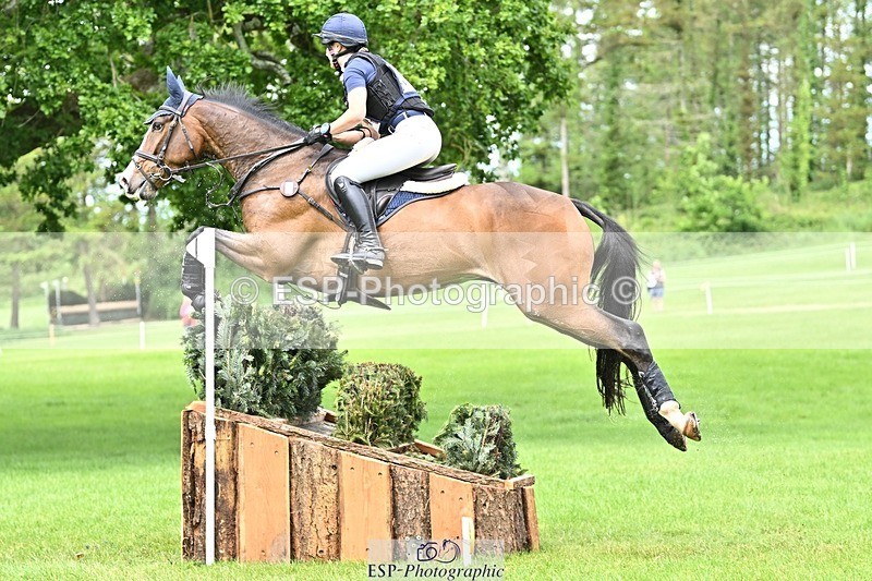 240525-150905-16197 - 214-DSH_GOLDEN_EYE-Lucinda_Mesquita