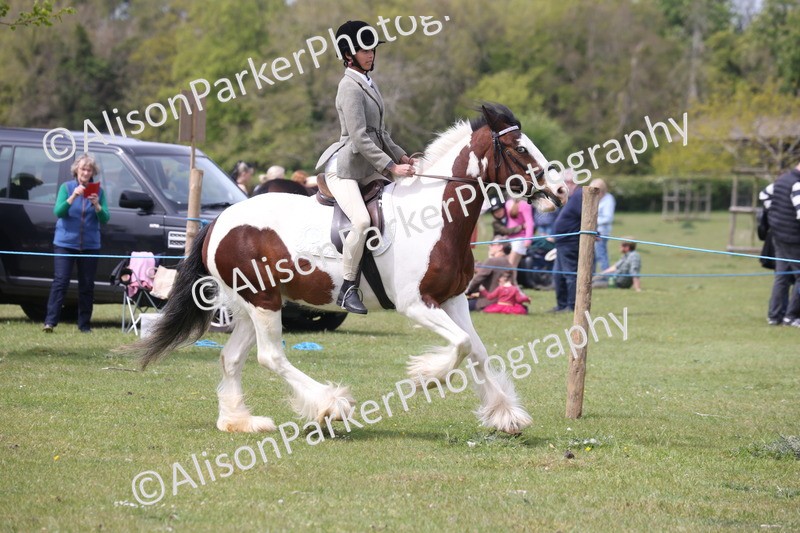 20260426-2973 - Class 33 - Best Pony 14.2hh and Under