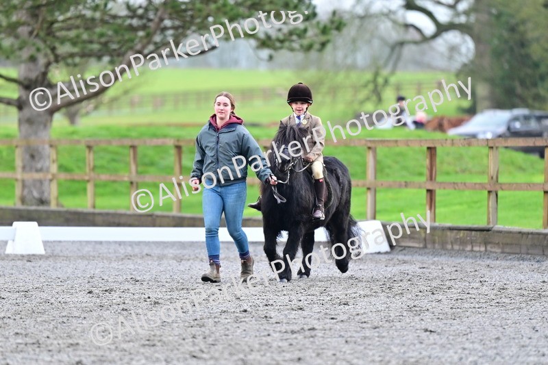 20260125-1005 - Class 9a - Walk Trot Assisted