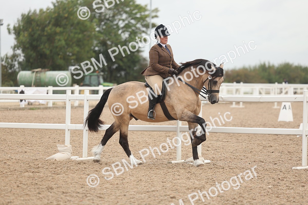 SBM_01888 - Class 14 - Ridden M&M Wildcard