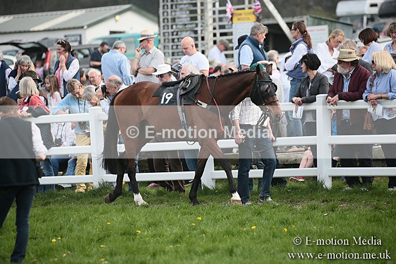 PtP 210418 309 - South & West Wilts Point-to-Point Larkhill 21/04/18