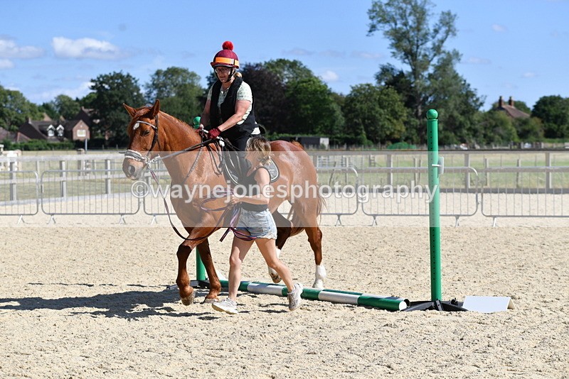 WJ5_5355 - Poles on the Floor