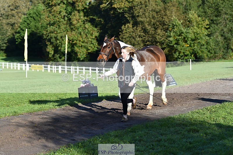 231022-095026-22062 - 467-WELLSHEAD.SQUIGGLE-Emily.Illing-TrotUp+SJ