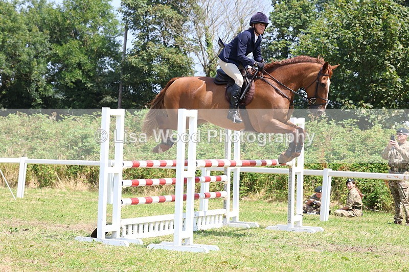 3E7A3348 - Class 10: Senior Foxhunter/1.20 open