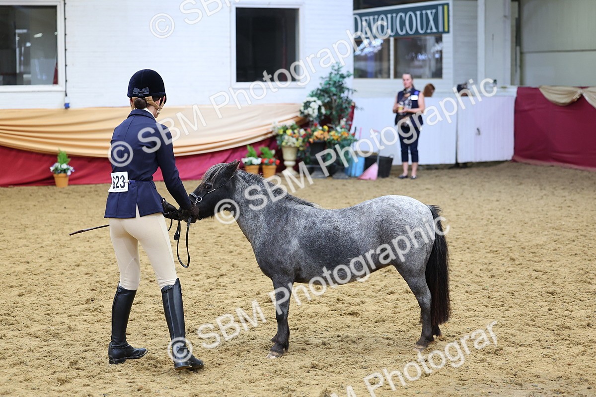 SBM_22853 - Class 903 - Supreme Final - IH Pre Vet