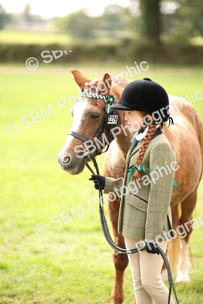 SBM_46370 - S25 - Mature Veteran In Hand