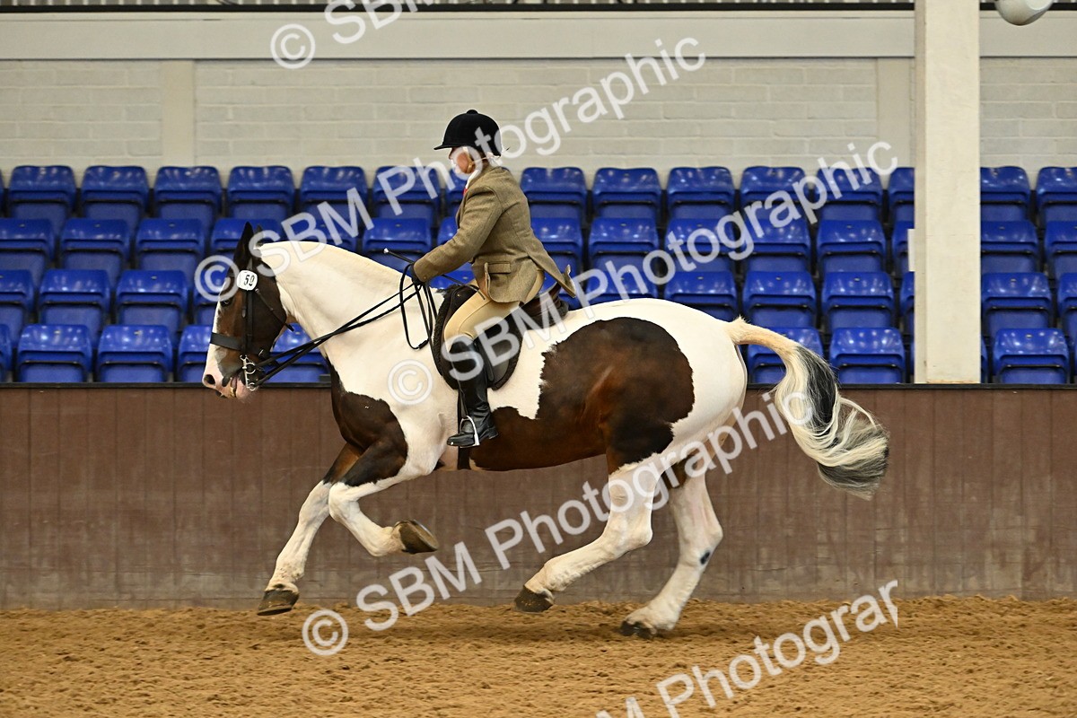 SBM_002031 - Class 21 - BSHA Ridden Show Cob