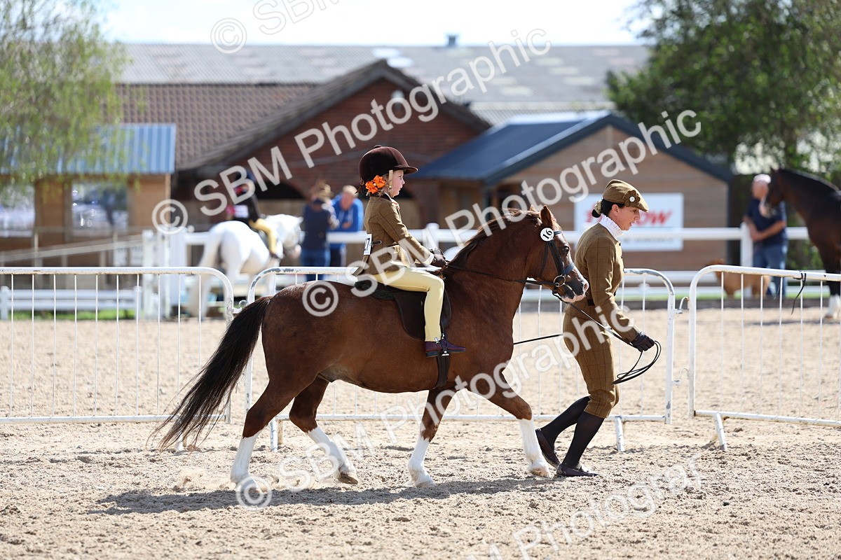 SBM_13018 - Class 309 - Lead Rein Pony
