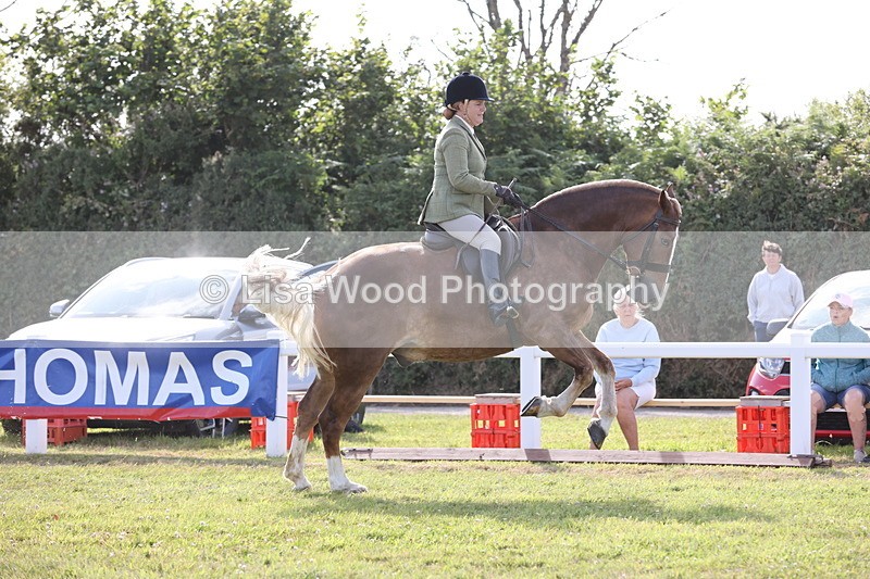 JPP_3012 - Class 20: Working Hunter 70cm