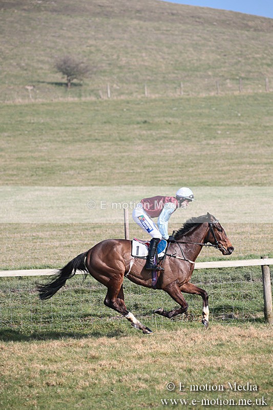 PtP 230219 261 - Vine & Craven Point-To-Point - Barbury 23/02/19
